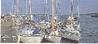 Yachts in Poole Harbour.