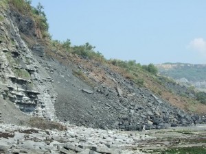 Fossil Walks in Lyme Regis